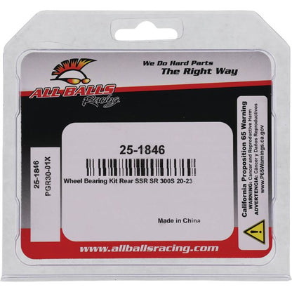 All Balls Racing Wheel Bearing Kit 25-1846 for Enhanced Motorcycle Performance