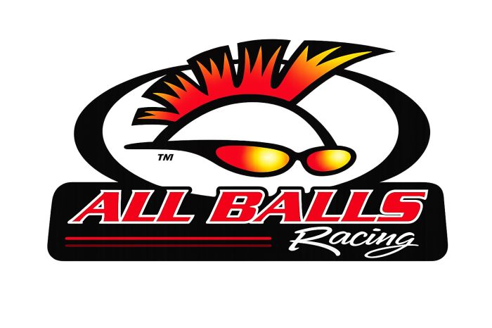 All Balls Racing 82-4011 Decal for Motorcycles and ATVs