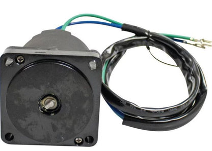 Wildboar Tilt/Trim Motor 430-22025 for Marine Outboard Engines