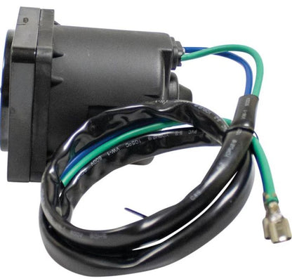 Wildboar Tilt/Trim Motor 430-22025 for Marine Outboard Engines