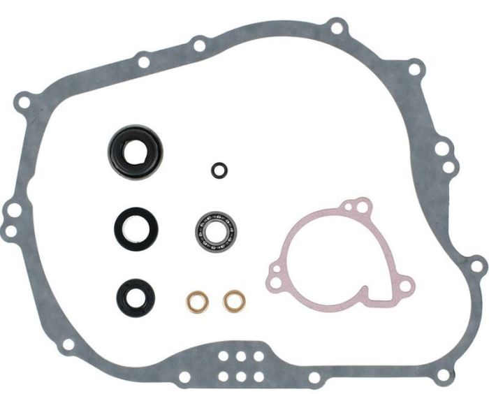 Vertex Water Pump Rebuild Kit - Part Number 821214