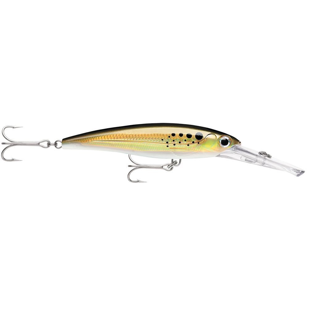 Rapala X-Rap Magnum 30 Bunker Deep Diving Lure for Saltwater Fishing