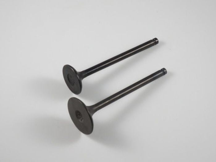 Shindy TRX200/D/SX Engine Valve Set - Part Number 07-015