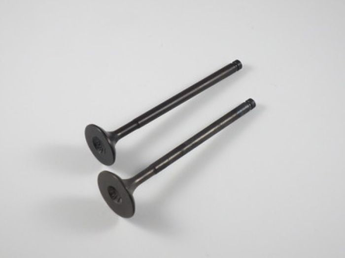 SHINDY Engine Valve Set for Honda TRX300EX (1993-2008) — Part Number 07-016