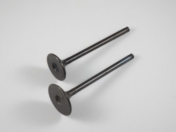 SHINDY Engine Valve Set for ATC250ES/SX/TRX250 (1985-1987)