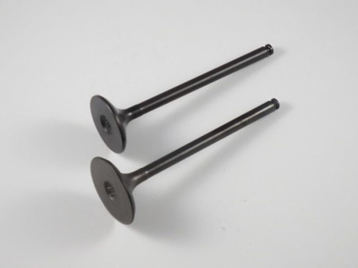 Shindy Engine Valve Set for Honda TRX300/FW (1988-2000) - Part Number 07-020