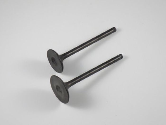 Shindy Engine Valve Set for Honda TRX250 (1997-2001) - Part Number 07-021