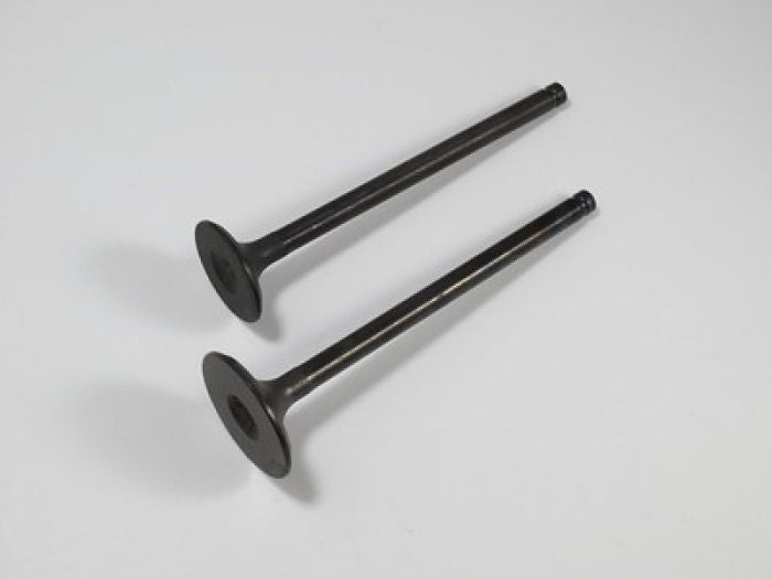 SHINDY 07-022 Engine Valve Set for Honda ATC125M and TRX125