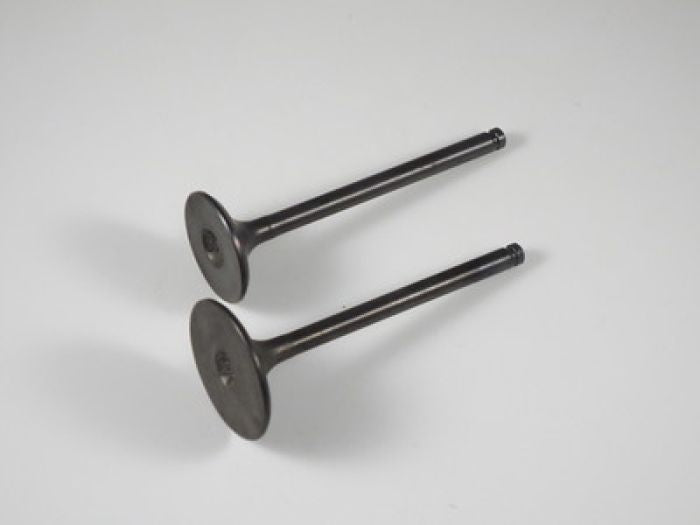Shindy Engine Valve Set for TRX400FW (1995-2003) – High-Quality Replacement Parts