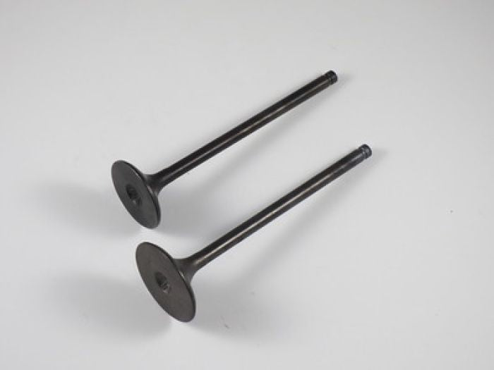 SHINDY Engine Valve Set for Honda TRX400EX and TRX500 Rubicon - Part Number 07-025