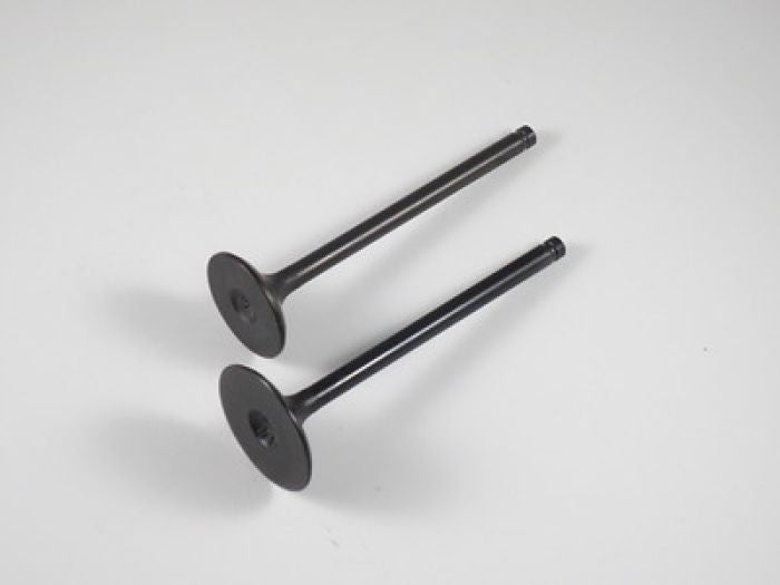 SHINDY Engine Valve Set for Honda TRX250EX (2001-2008) - Part Number 07-026