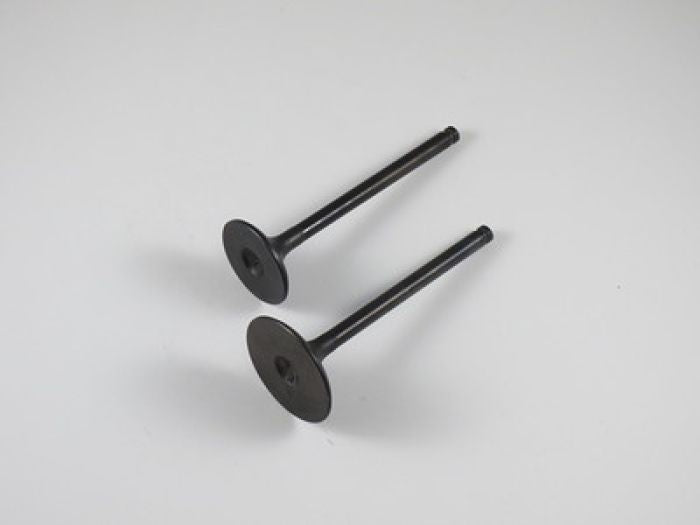 Shindy Engine Valve Set for Honda TRX350 Rancher (2000-2006) - Part #07-029