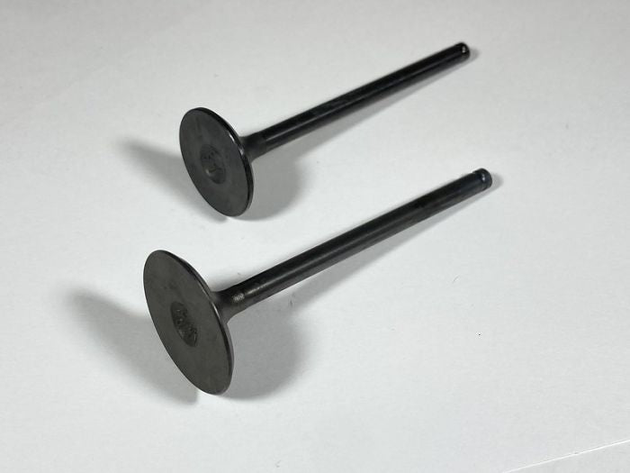 Shindy Engine Valve Set for TRX250TE/TM (2002-2020) - Part Number 07-032