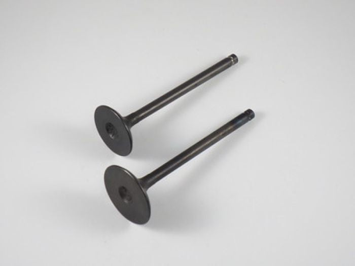 Shindy Engine Valve Set for KLF250 (2003-2011) - Part Number 07-109