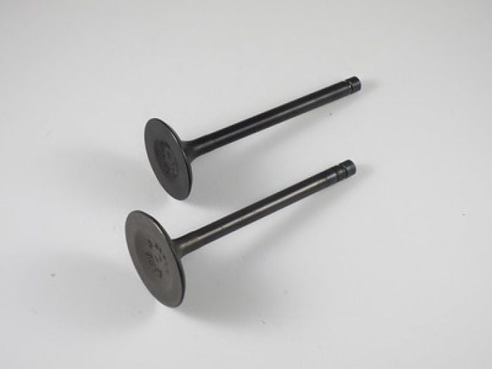 Shindy Engine Valve Set KVF360 (2003-2011) for ATV and Utility Vehicles