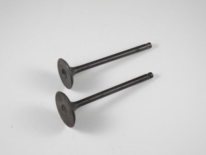 Shindy Engine Valve Set for LTF230E/GE/F – Precision Replacement Components