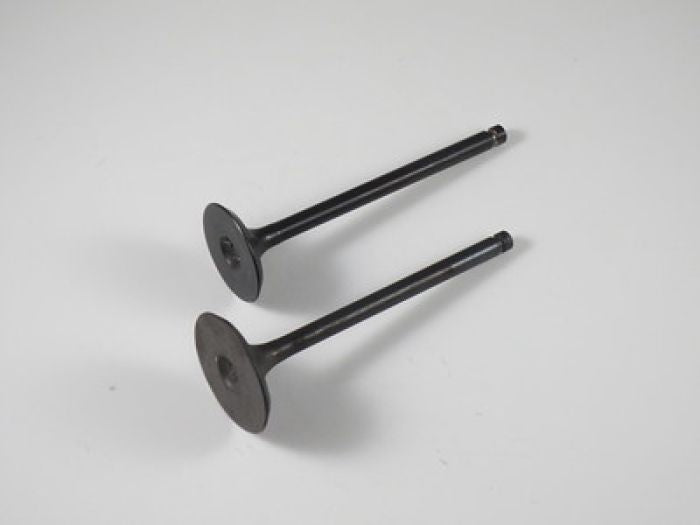 SHINDY Engine Valve Set for LT-F300F (99-02) - Part Number 07-205