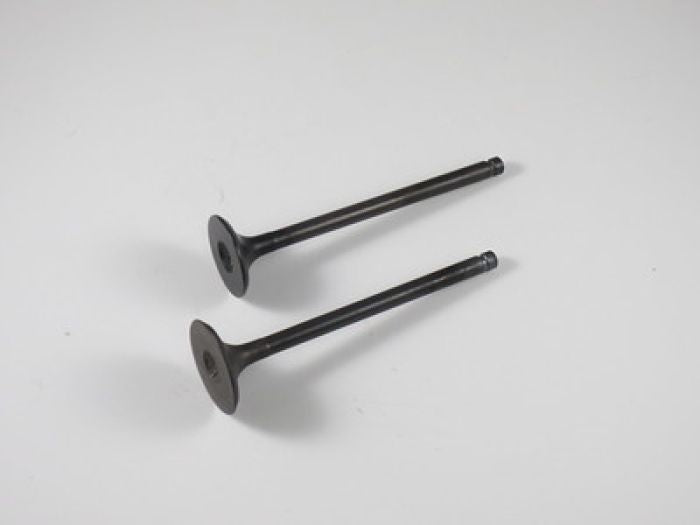 SHINDY Engine Valve Set LT-F160 (91-01)