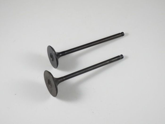 SHINDY Engine Valve Set LT-F500F (98-07)