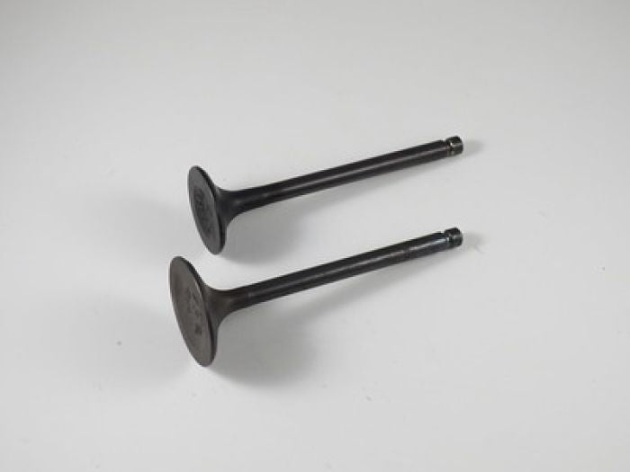 Shindy Engine Valve Set for Yamaha YFM350F/FW (1987-1999) - Part No. 07-302