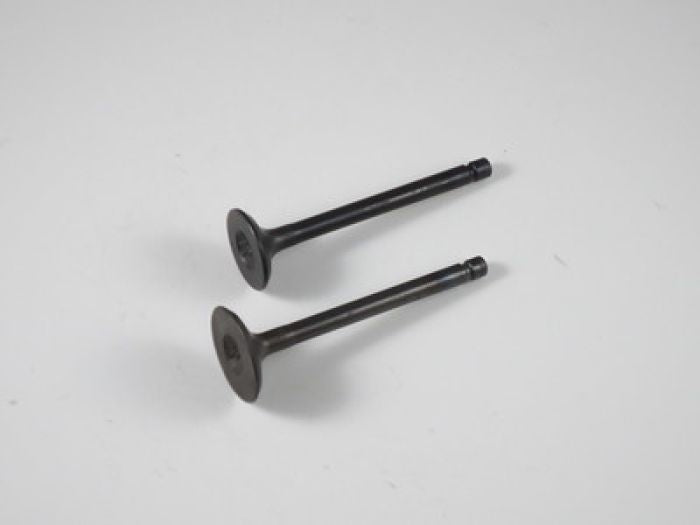 SHINDY 07-309 Engine Valve Set for Yamaha YFM80, YFM80G, YFM80R and YFM100