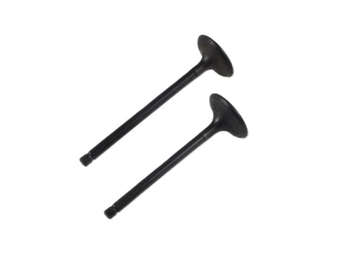 SHINDY Engine Valve Set for Yamaha YFM660F/R - Part Number 07-313