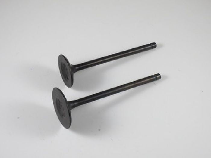 SHINDY Engine Valve Set for Yamaha YFM700FG/R - Part Number 07-314