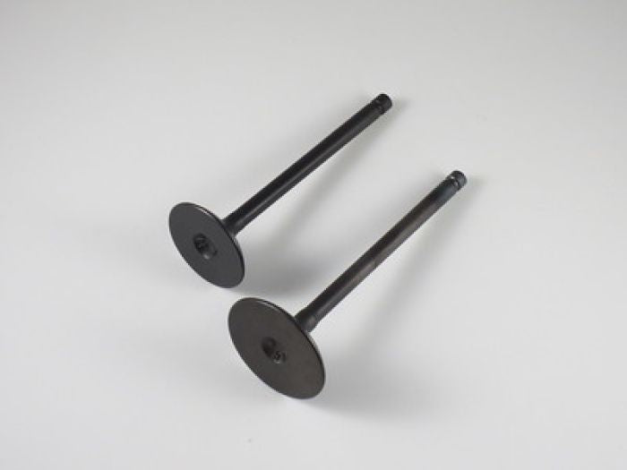 Shindy Engine Valve Set for Sportsman 570 (2014-2017) – Part Number 07-403