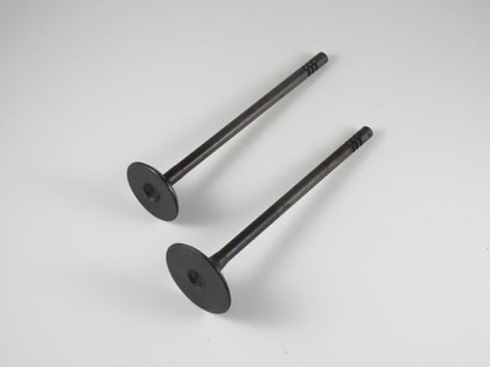 SHINDY Engine Valve Set for Polaris RZR 800 (2008-2014) - Part No. 07-404