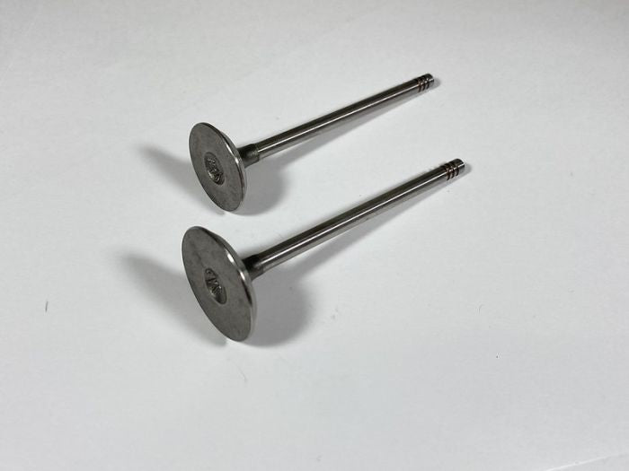 Shindy Engine Valve Set for Mitsubishi Outlander 2016-2022 – Part Number 07-473