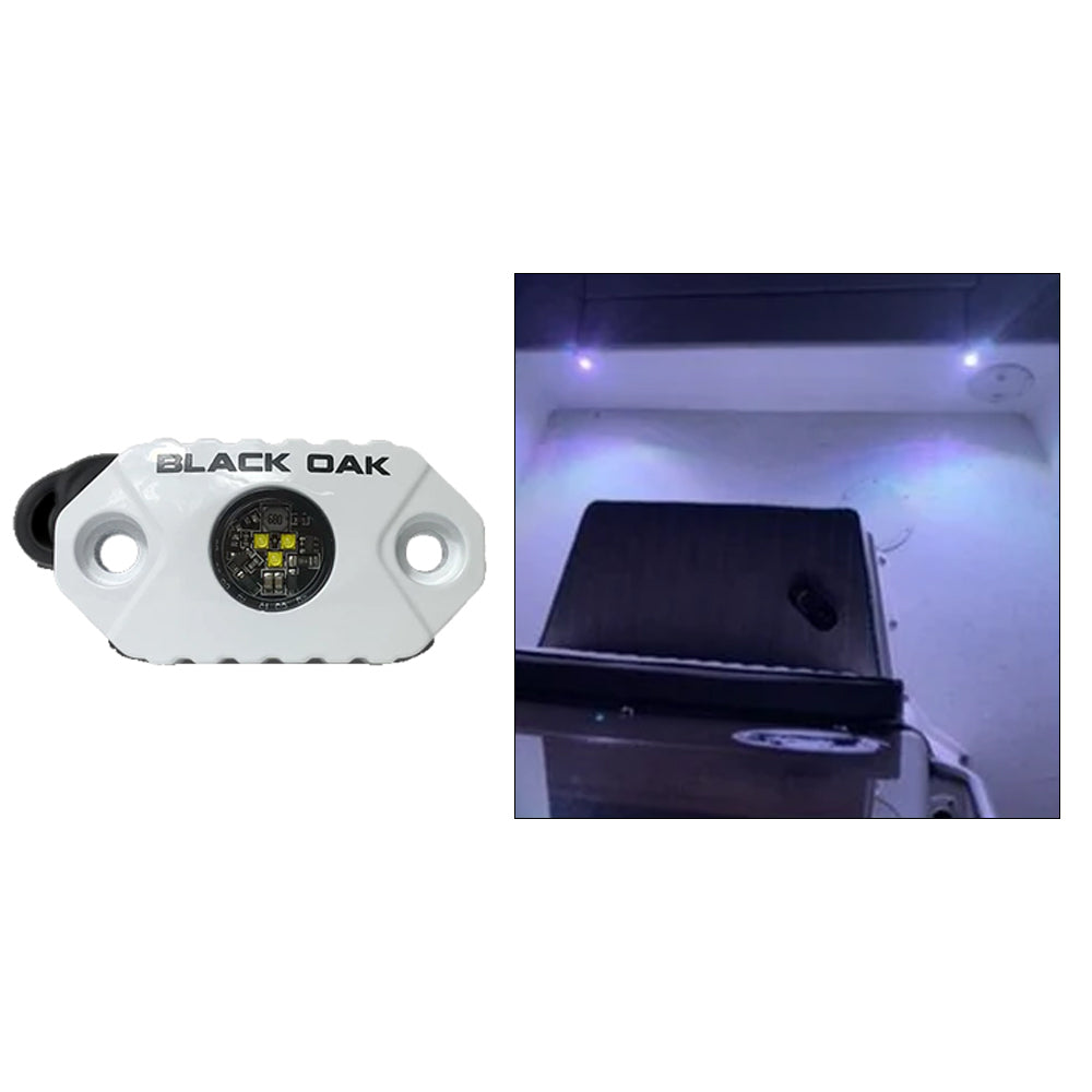Black Oak LED Rock Accent Light with White LEDs and White Housing (Model MAL-W)