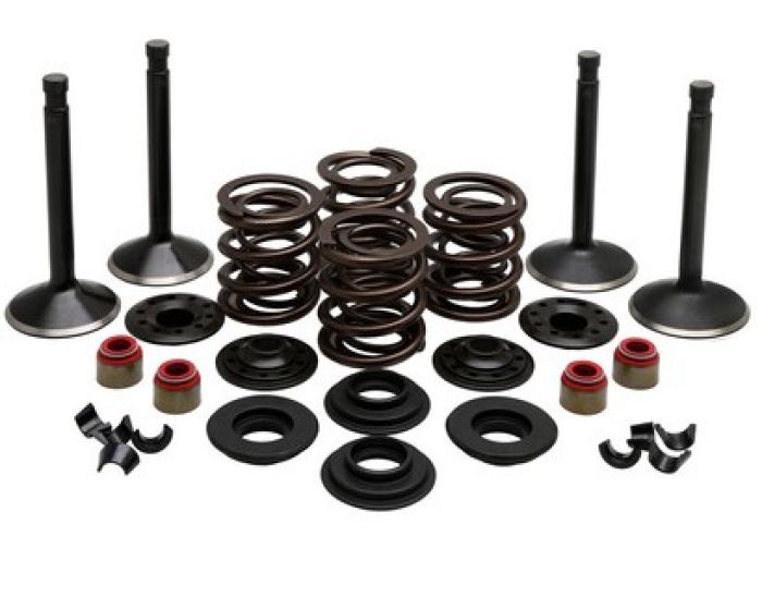 Kibblewhite KPMI Engine Kit for Harley-Davidson Shovelhead 74" (1966-1977)