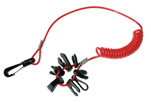 AIRHEAD Boat Kill Switch Keys with Lanyard - Part Number BKS-6