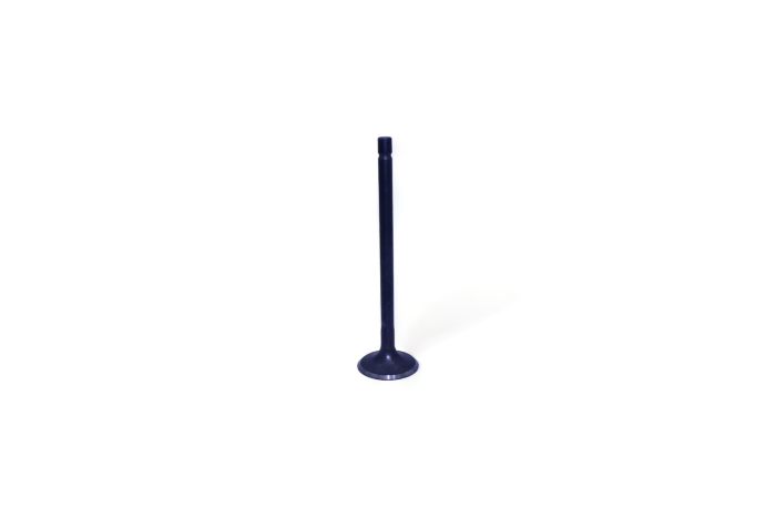 VESRAH Intake Valve GG-1019-IN for Automotive Engines
