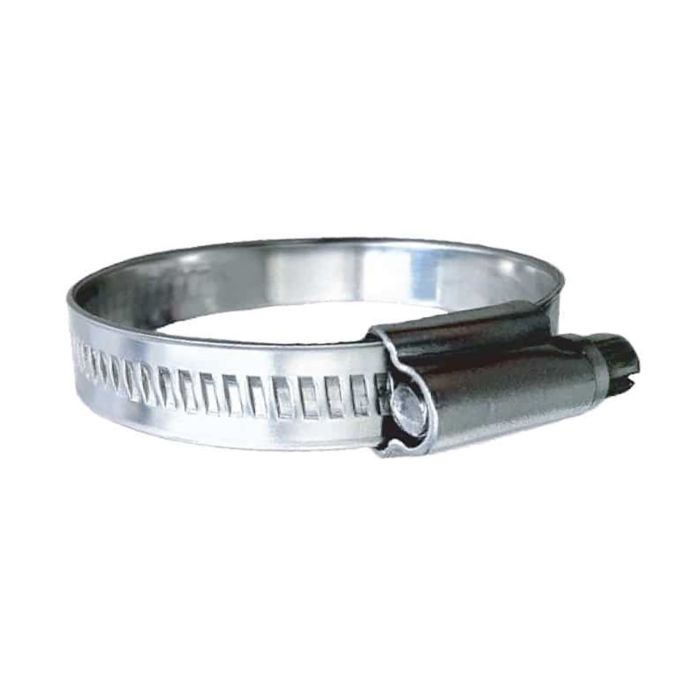 Trident Marine 316 Stainless Steel Non-Perforated Worm Gear Hose Clamp - SAE Size 32, 2 to 2-9/16 Inch Range, Pack of 10
