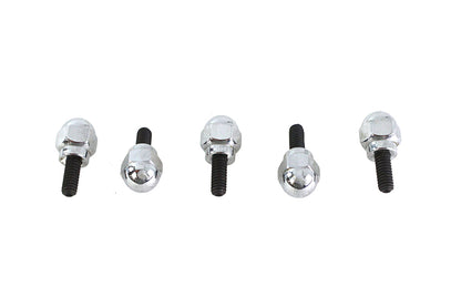 Colony Acorn Screw Kit for Harley Davidson FLT (1999-2008)