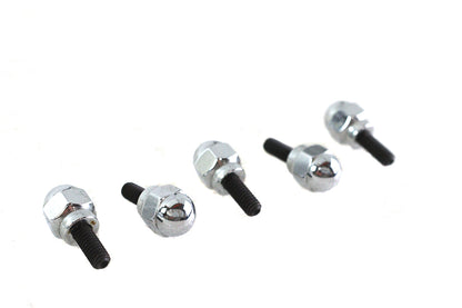 Colony Acorn Screw Kit for Harley Davidson FLT (1999-2008)