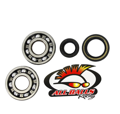 All Balls Racing Crank Bearing and Seal Kit (Part #24-1003)