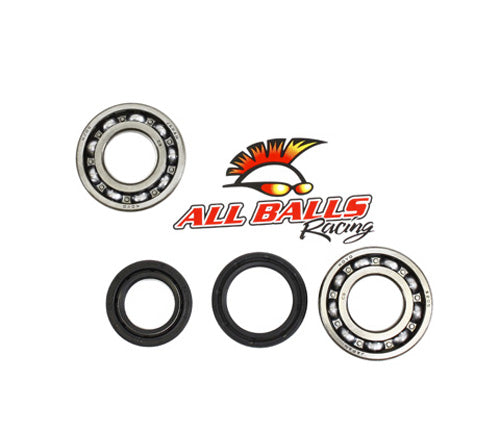 All Balls Racing Crank Bearing and Seal Kit (Part Number 24-1074)