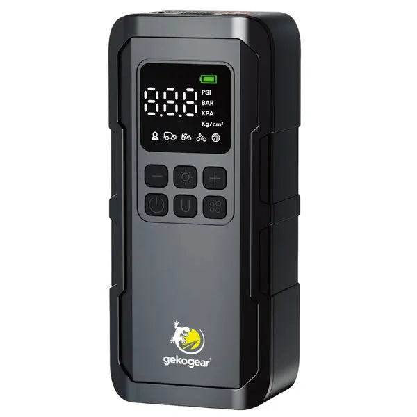 AIRFLUX 100 AIR PMP W/PB