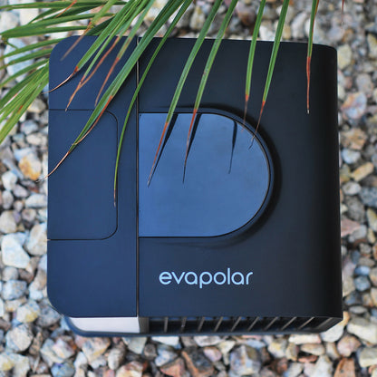 EVAPOLAR evaSMART 3000 Personal Evaporative Air Cooler, Gray, Part Number 5292882000635