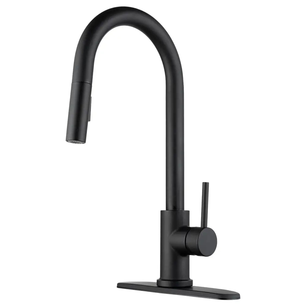 DURA FAUCET DFNMK540MB Matte Black Kitchen Faucet