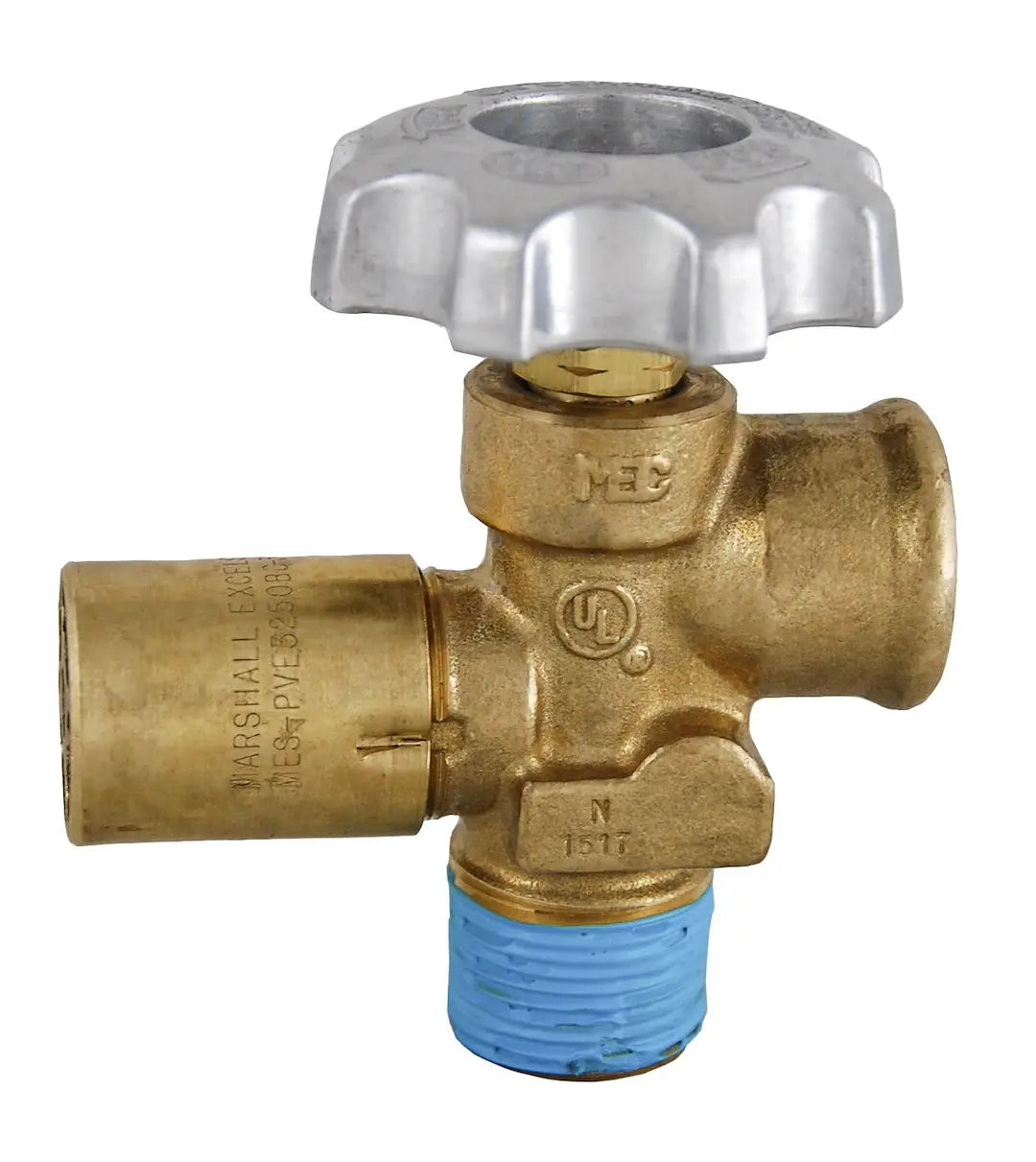 AP Products ASME Service Valve 3/4 inch NGT Inlet (Part E3250BC312)