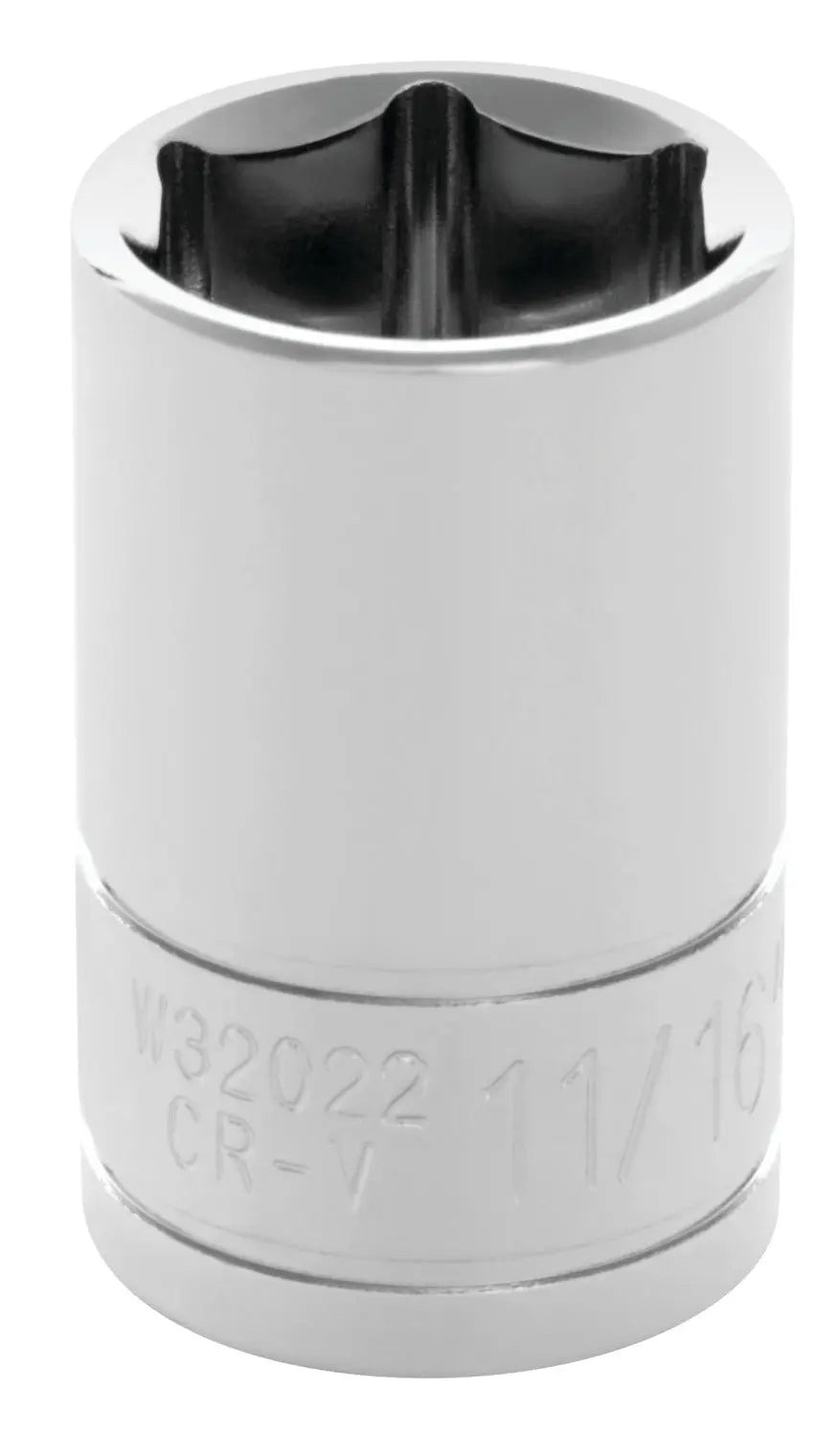 Perform Tool W32022 11/16-Inch Socket for Professional Automotive and Mechanical Use