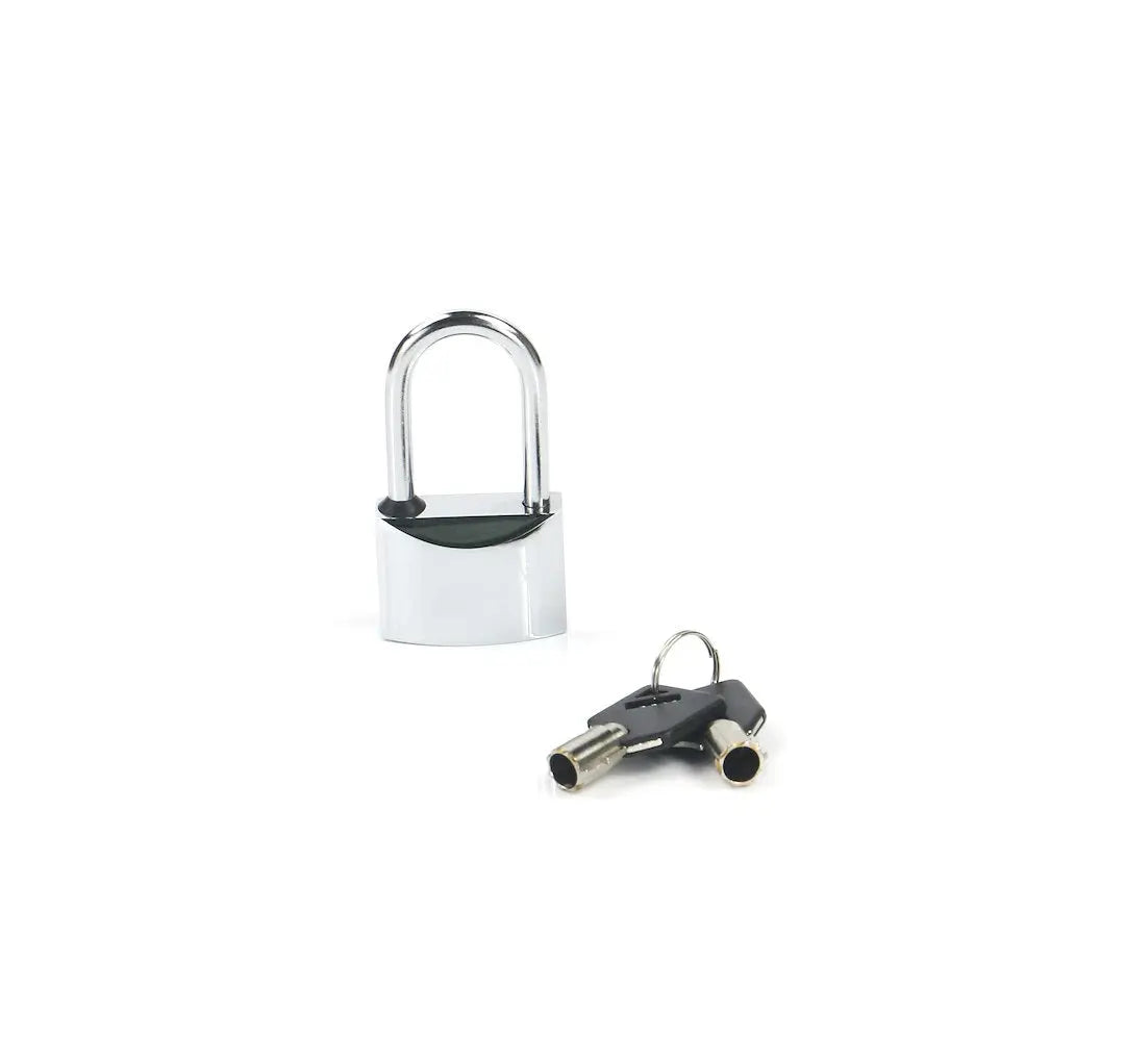 Weigh Safe WS12 Quantity 1 Padlock - Can Be Keyed-Alike for Secure Locking