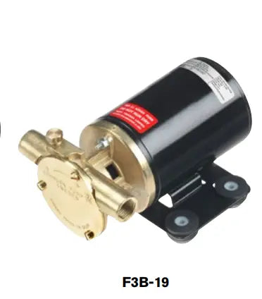 Johnson Pump F3B-19 12V Oil Change Pump with 3/8" NPT Connection