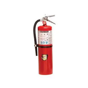 Buckeye Fire 10 lb ABC Fire Extinguisher – Model 11340