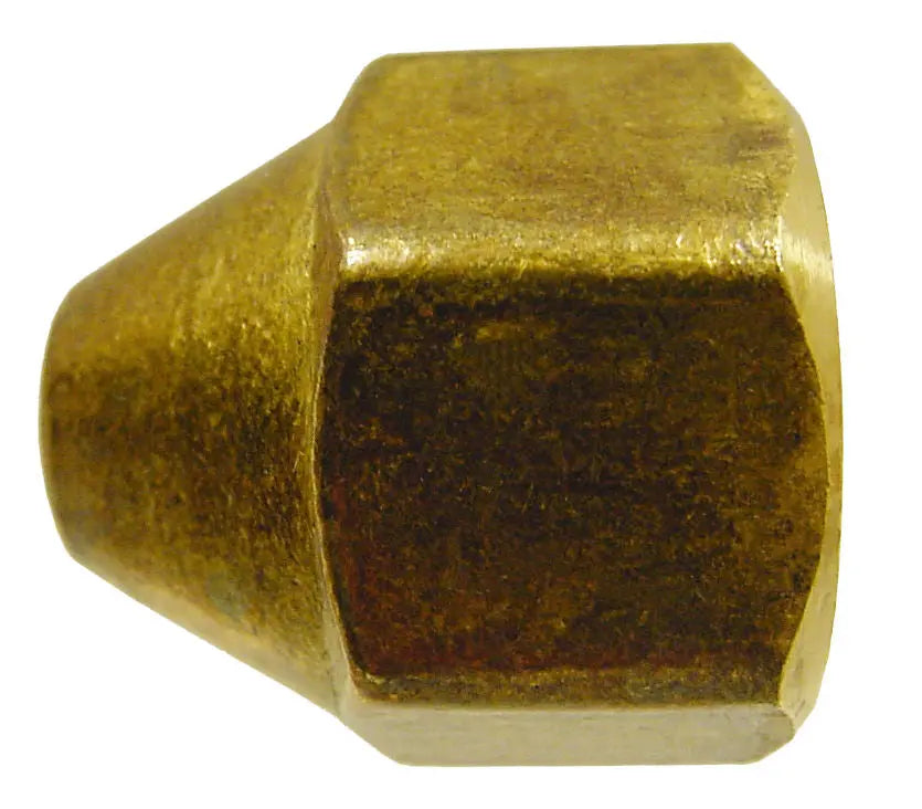 AP Products Female Pol Cap - Brass (Part Number ME1699)