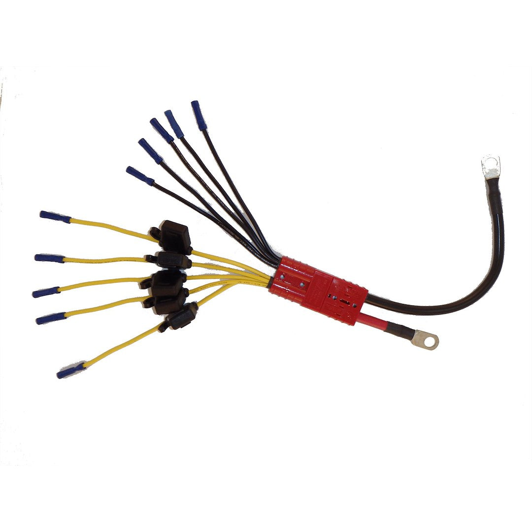 Connect Ease CE12VB5FK Multi 5 Fused Lead Access Cable