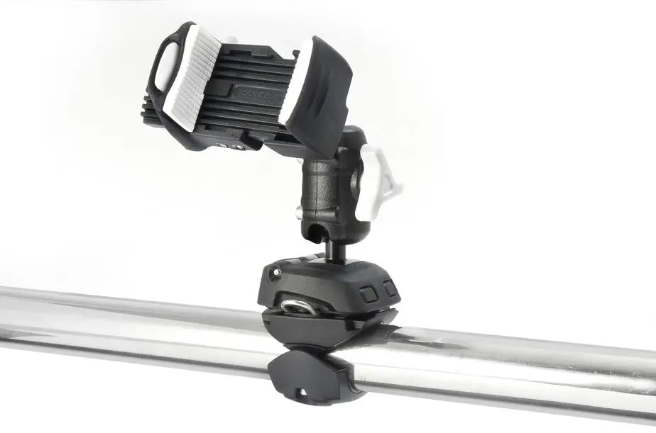 SCARLS509402